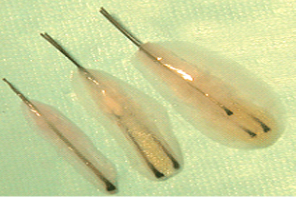 Dr Rahul Tandon Plastic surgery clinic
