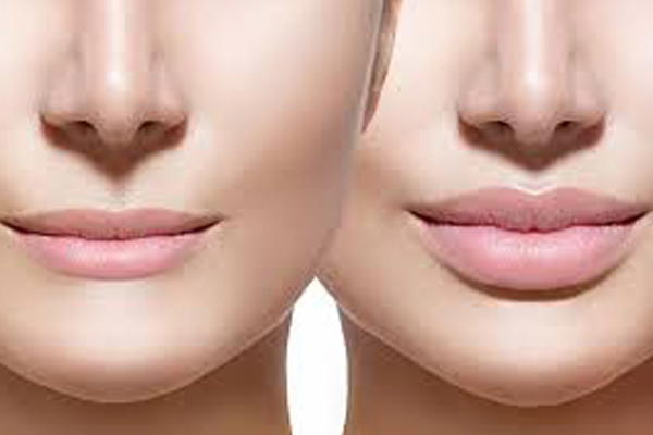 Lip